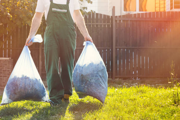 Best Yard Cleanup Services  in Oracle, AZ