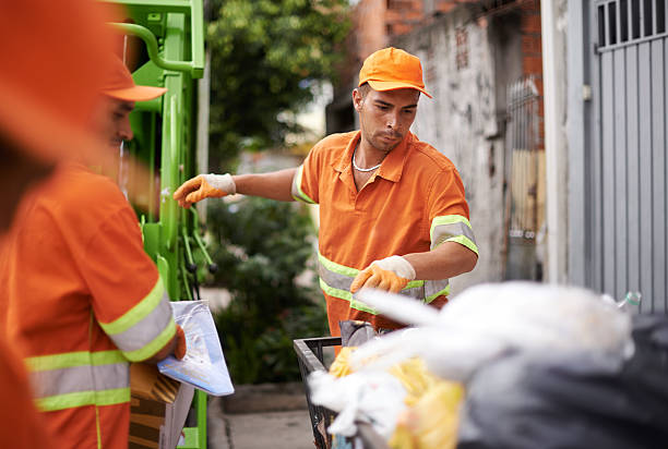 Debris Removal in Oracle, AZ